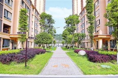 遂寧市積極開展 對(duì)物業(yè)公司監(jiān)管不到位,小區(qū)物業(yè)服務(wù)品質(zhì)不高 問題整治,225個(gè)小區(qū)已整改到位